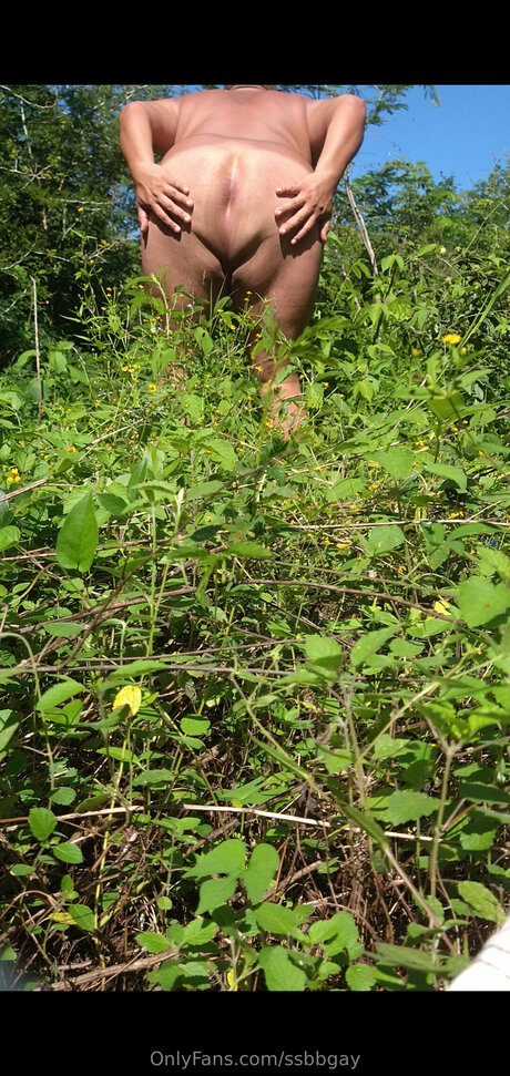 Ssbbgay pornstar sex pic