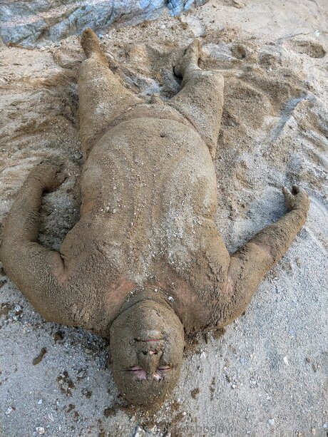 Ssbbgay pornstar sexy pic