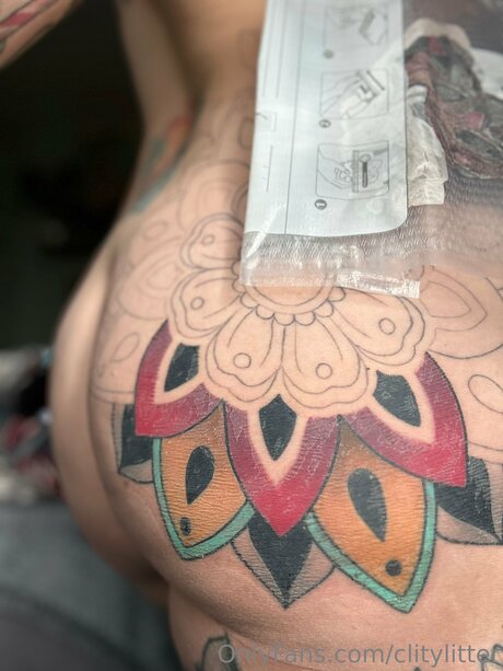 Clitylitter porn star pic