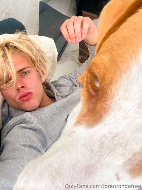 Toranrohdefree adult star photos