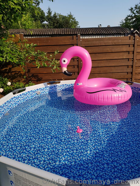 Maya Dreamx star pornographic gallery