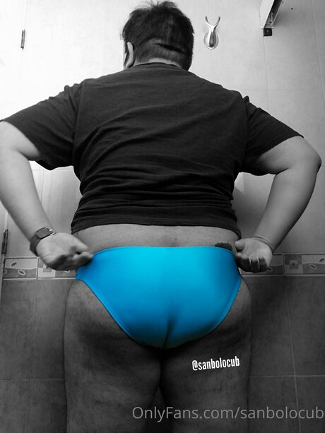 Sanbolocub model pretty img