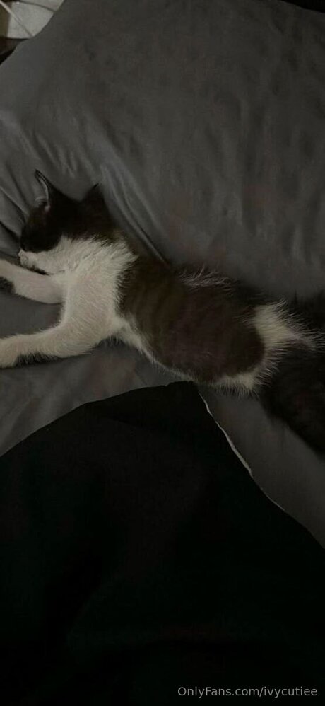 cameltoe onlyfans hot pic