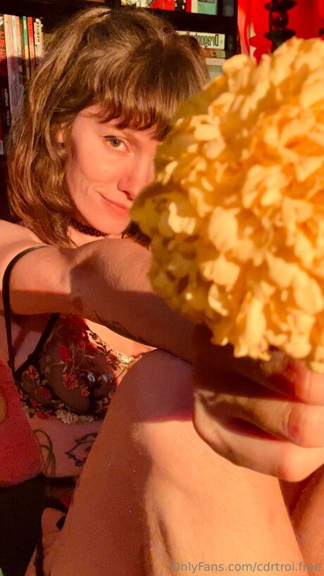 Cdrtroi Free nice pornstar pictures