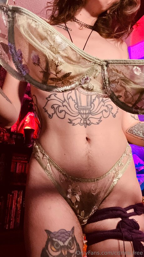 Cdrtroi Free pornographic actress image