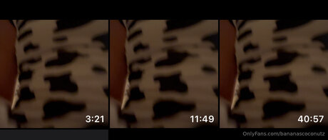 Kellycalifree pornstar exclusive photo