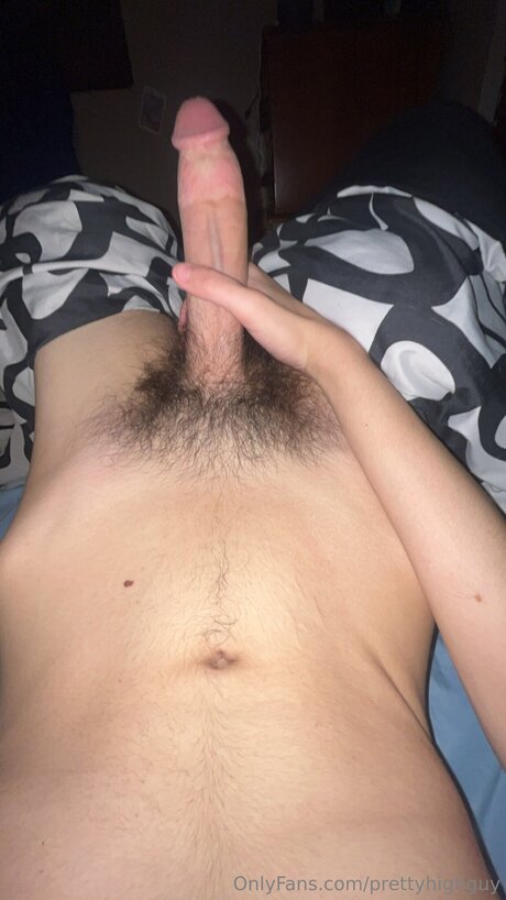 Prettyhighguy art model pics