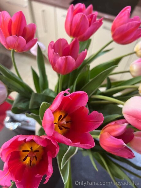 Freyadollts hot actress pictures