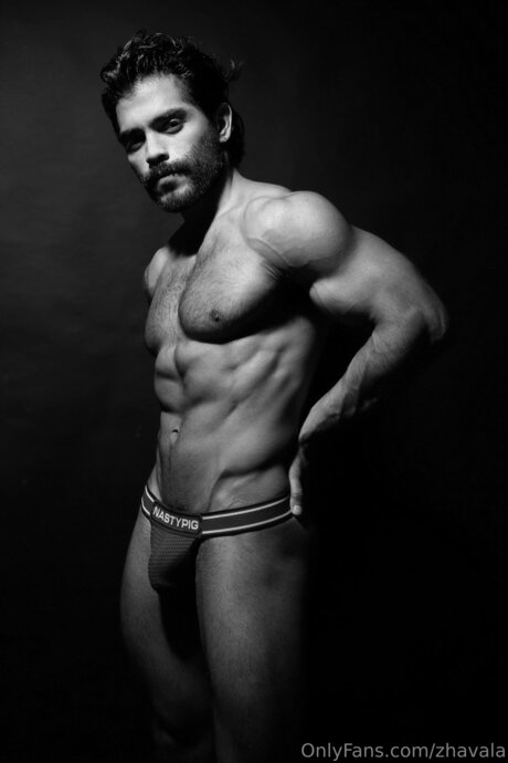 Zhavala best star galleries