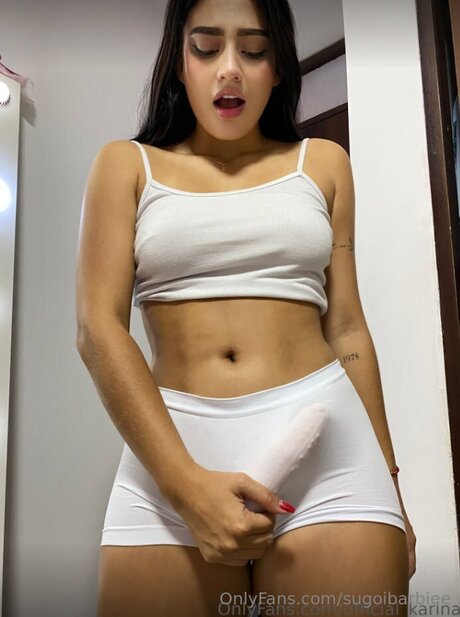 Sugoibarbiee star hot img