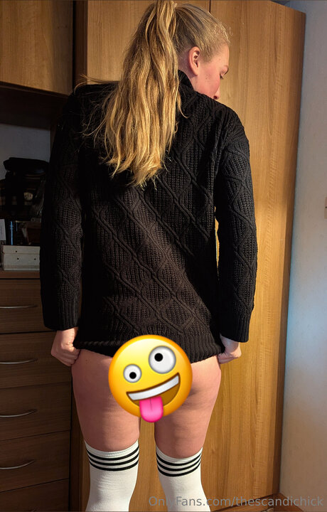 Thescandichick model perfect picture