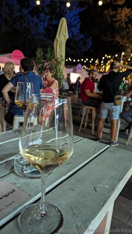 Thescandichick star art galleries