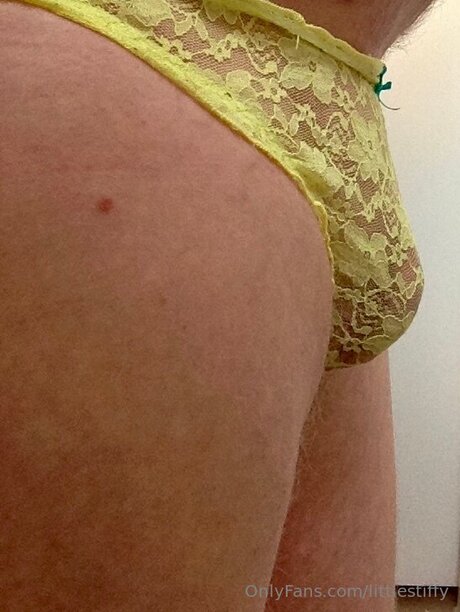 Littlestiffy erotic pornstar galleries