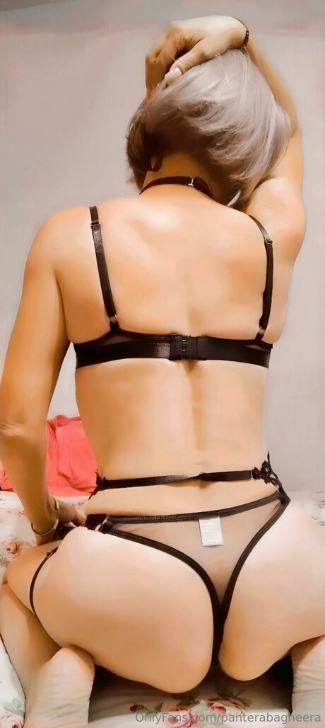 Panterabagheera erotic star image