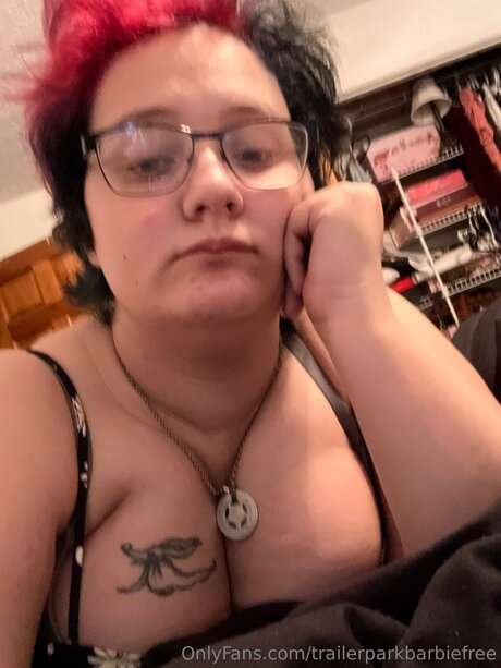 Trailerparkbarbiefree star pornographic photos