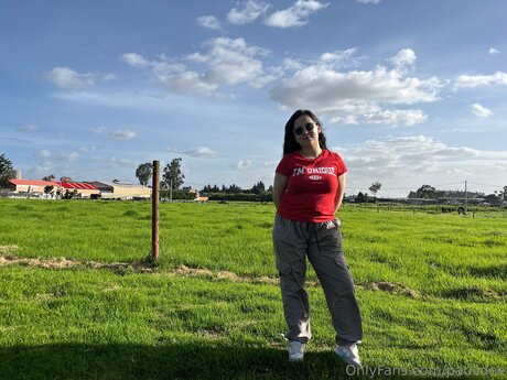 Paulidee hd star galleries