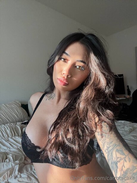 Carrotscake high quality model archive