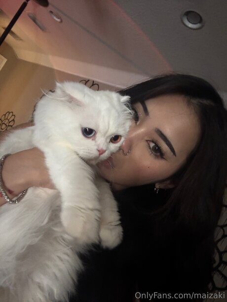 Carrotscake star perfect img