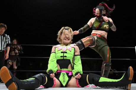 Ninja Mari Japan nudes model galleries