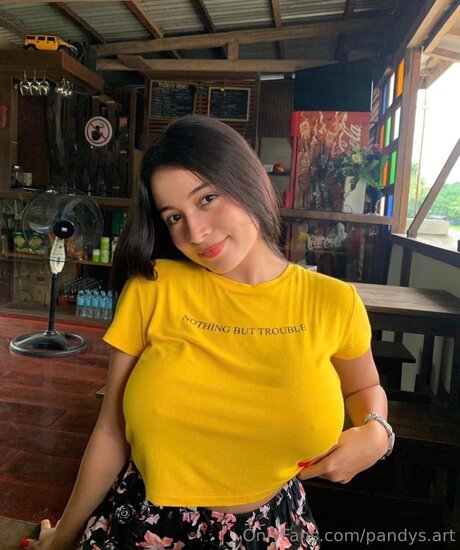 Pandys Art Profile photo