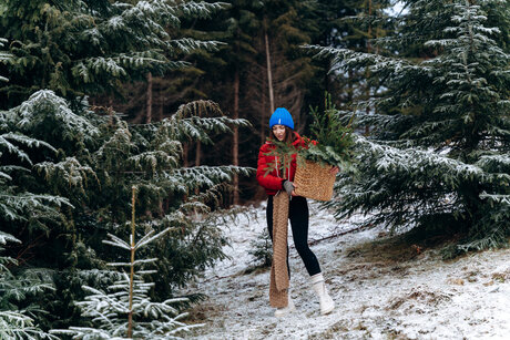 Larahook pretty star images