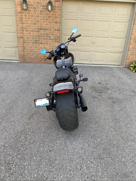 Bedellx star nude gallery