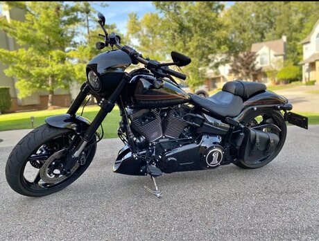 Bedellx nude model galleries