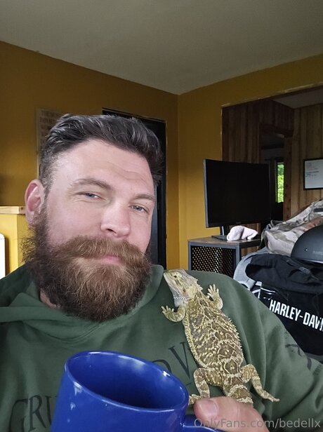 Bedellx beautiful pornstar photo