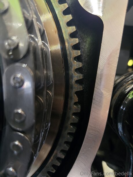 Bedellx exclusive pornstar pics