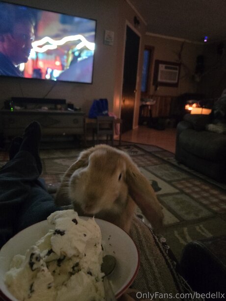 Bedellx nudes actress photos