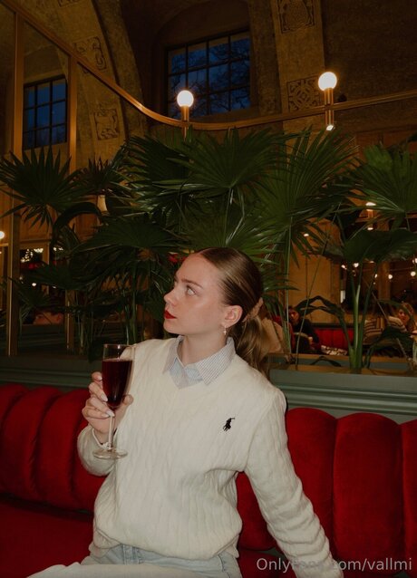 Vallmi star high quality img