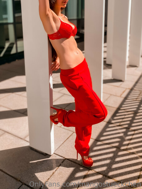 Mgstksn1 star top photo