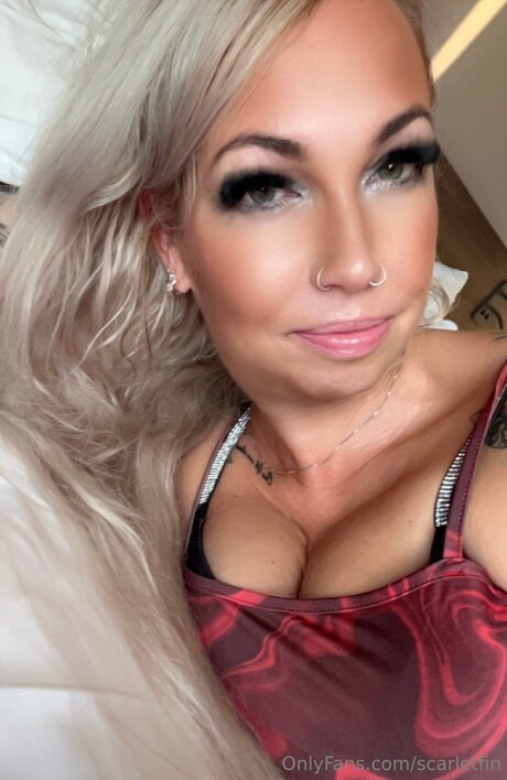 Scarletfin star free photo