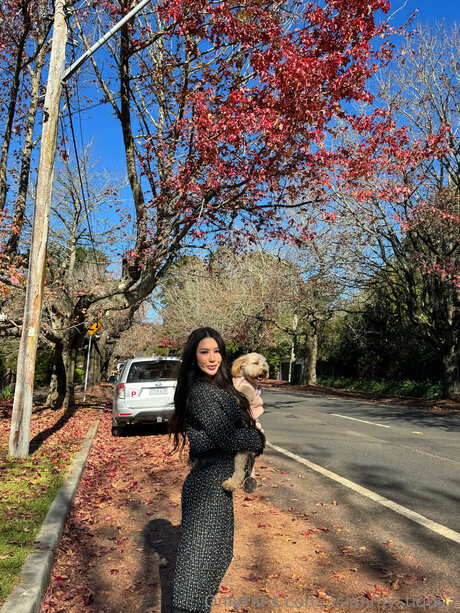 Asianmystique7 pornographic star archive