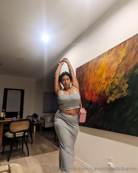 Canelitaladelbarrio nude pornstar photos