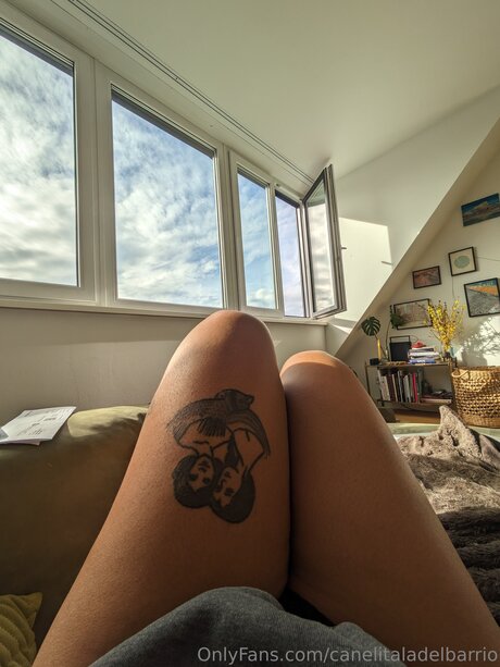 Canelitaladelbarrio Profile photo