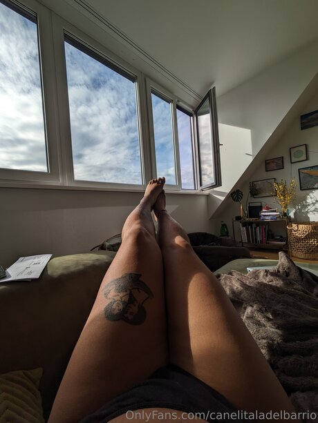 Canelitaladelbarrio star top galleries