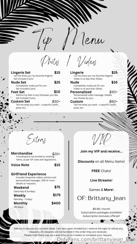 Brittanyjean Free star art gallery