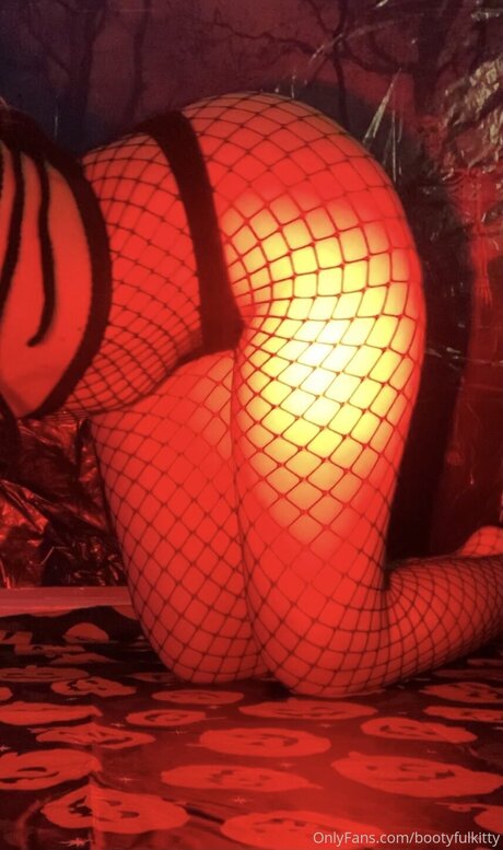 Bootyfulkitty pornographic actress pic