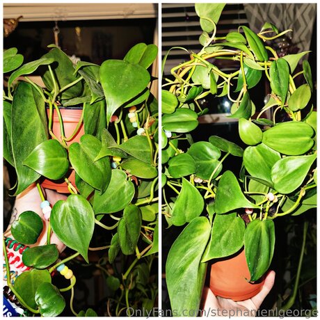 Stephanienlgeorge exclusive star pic