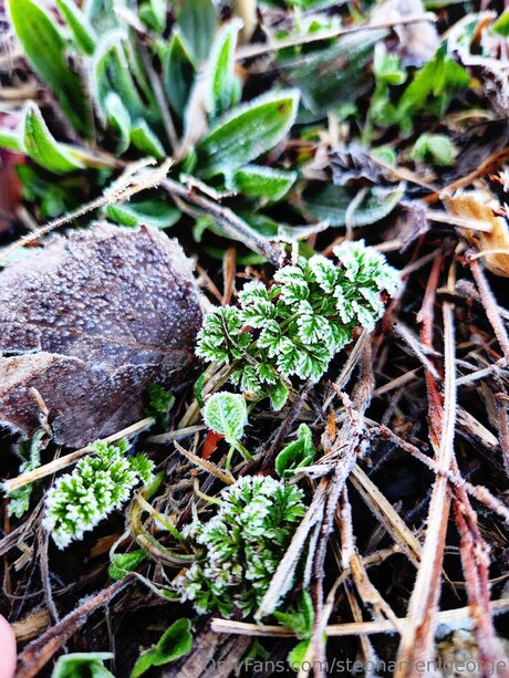 Stephanienlgeorge sexy model archive