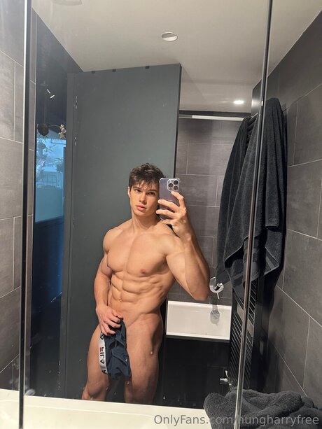 Hungharryfree pornstar art pics