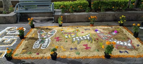 Alexrasec star exclusive photos