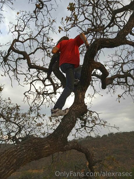 Alexrasec model art picture