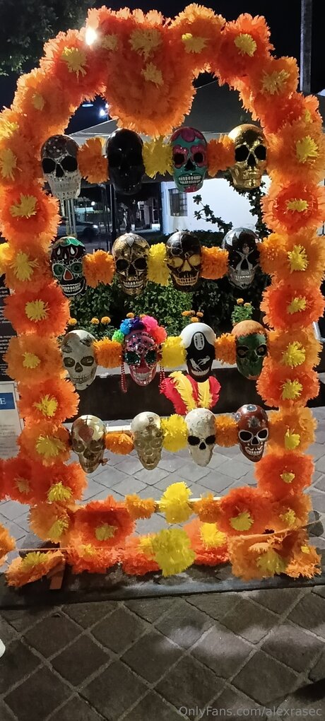 Alexrasec perfect pornstar gallery