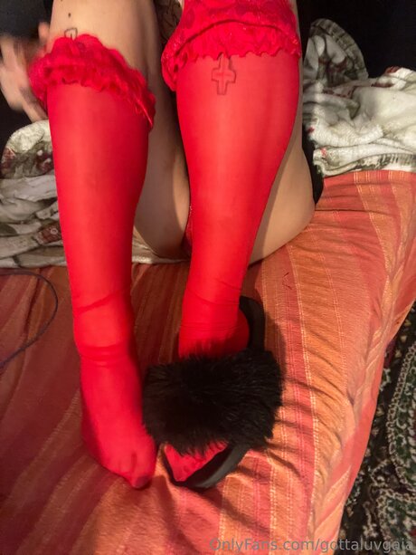 Gottaluvgaia top pornstar pics