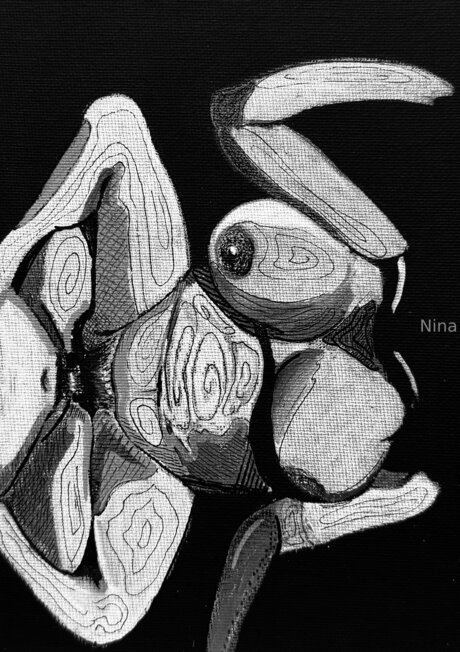 U464958276 nude star pictures