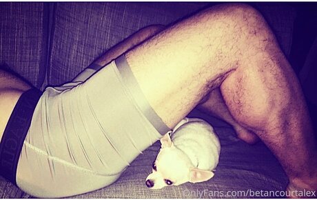 Thegreatalex hot star pic