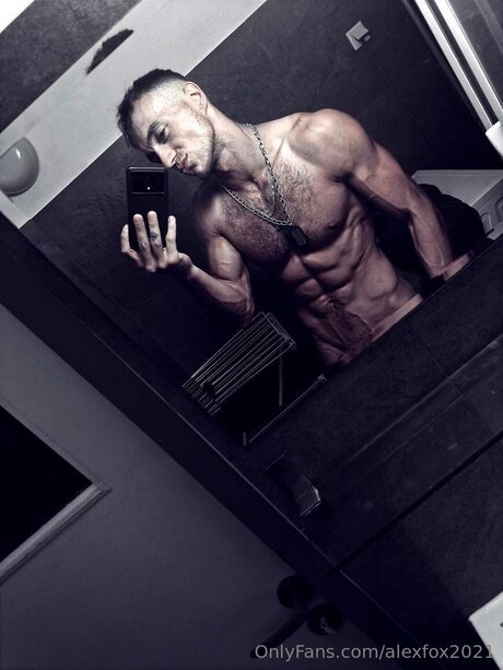 Alexfox2021 art model img