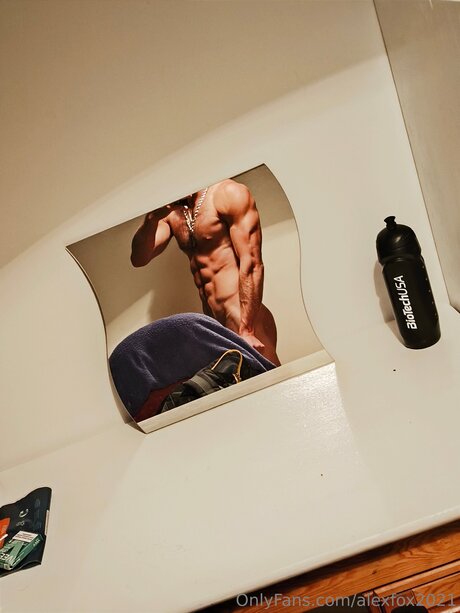 Alexfox2021 star adult pictures